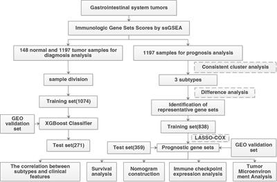 Diagnosis and prognosis prediction model for digestive system tumors based on immunologic gene sets